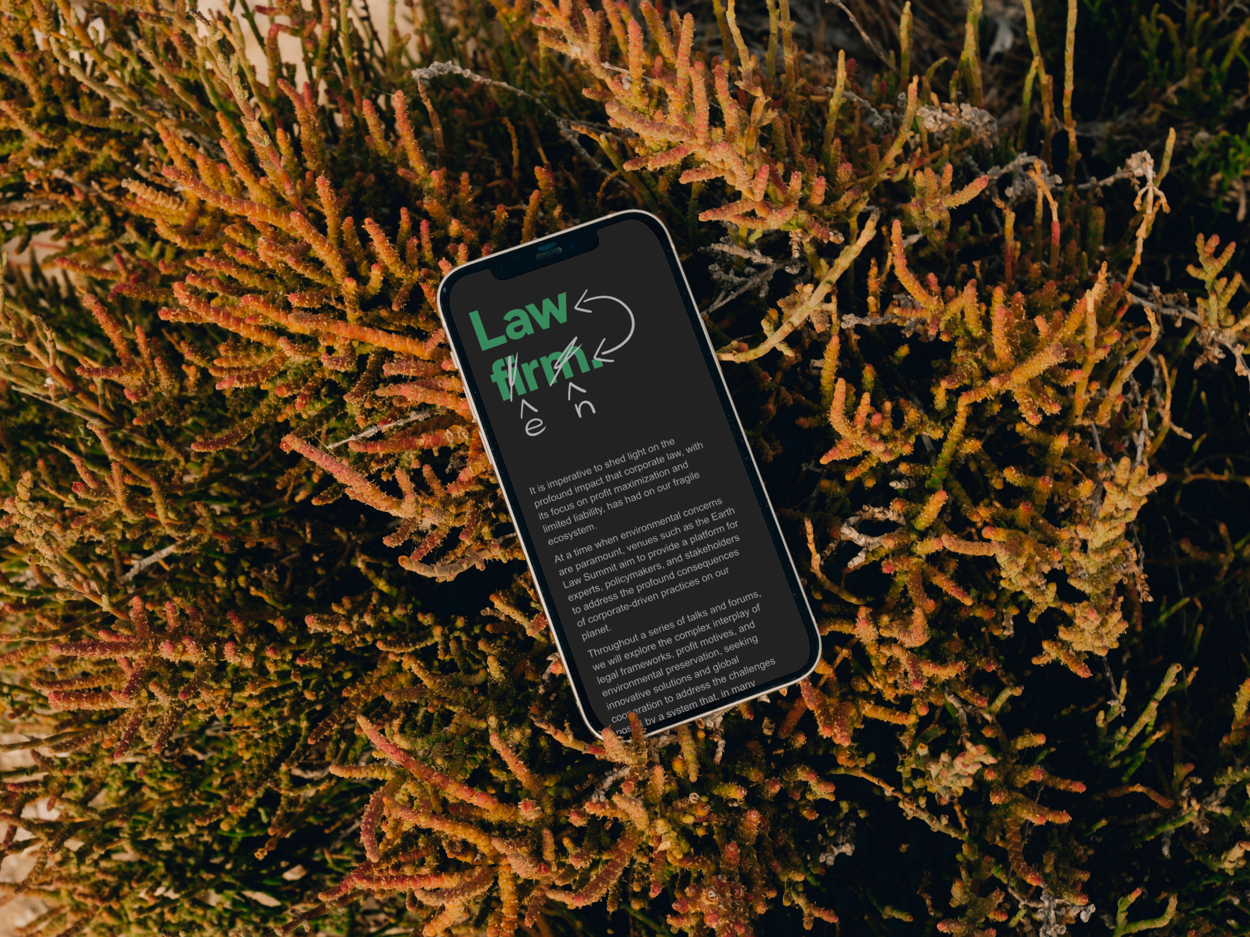 Earth Law Summit e-mail application